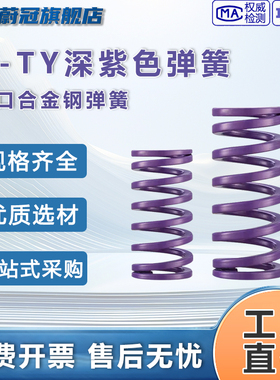 深紫色弹簧G-TY合金弹簧模具 弹簧矩形弹簧扁线弹簧耐热模具弹簧