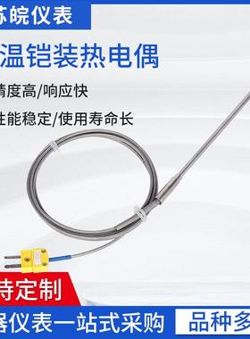 WRNK-191铠装探针式热电偶K型温度传感器细探针可弯曲耐高温