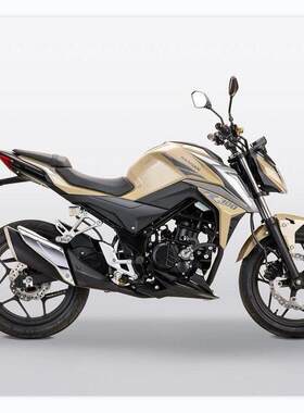 新款燃油型2座成人步运动公路竞赛摩托车二轮越野摩托车300CC