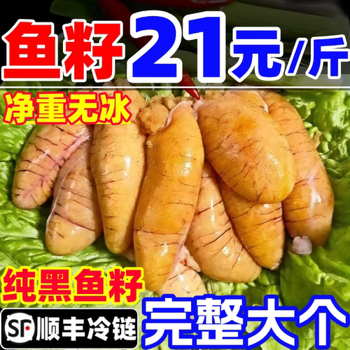 鱼籽新鲜黑鱼籽鲜活冷冻清江鱼籽超大鱼子鱼蛋鱼卵商用海鲜水产