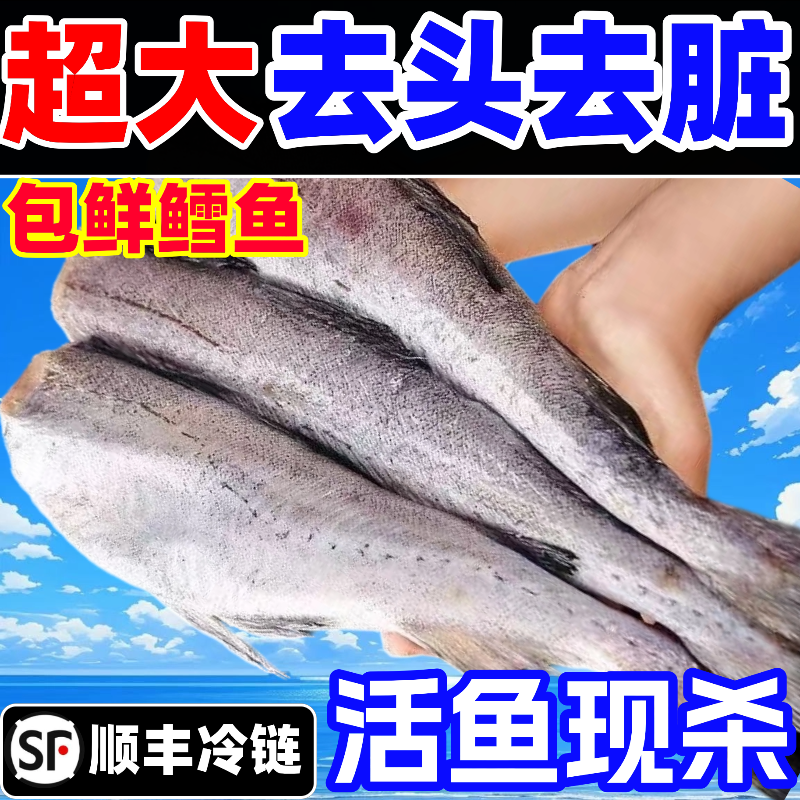 明太鱼新鲜无头鳕鱼冷冻超大狭鳕鱼鱼肉海鱼海鲜宝宝辅食朝鲜鱼