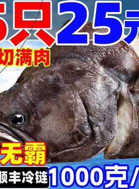 鸦片鱼头碟鱼头比目鱼头特大深海鱼头商用海鲜水产鲽鱼头雅片鱼头