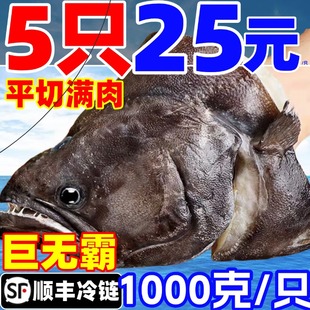 鸦片鱼头碟鱼头比目鱼头特大深海鱼头商用海鲜水产鲽鱼头雅片鱼头