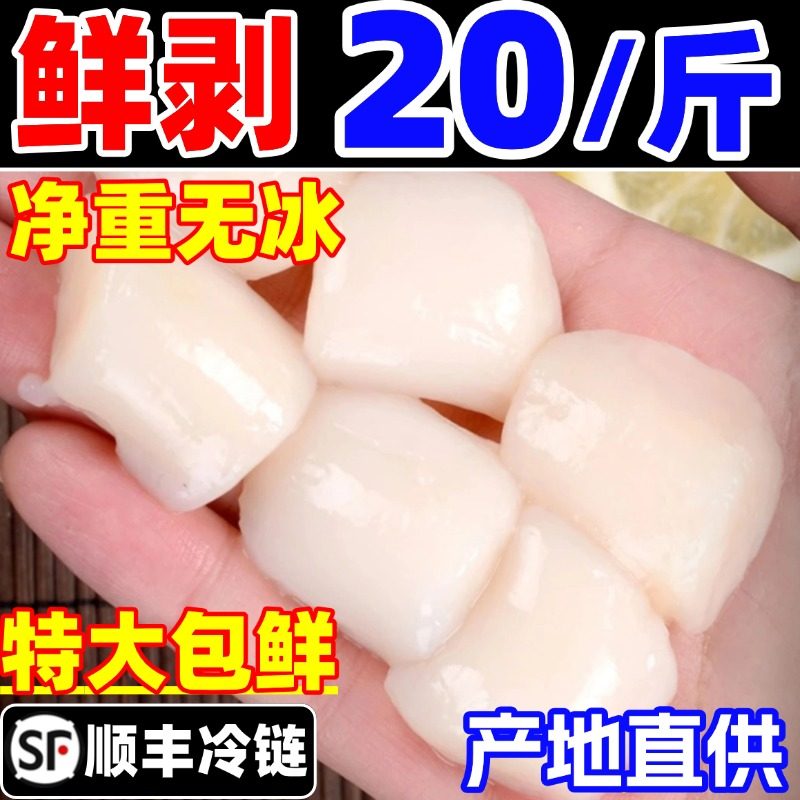 扇贝柱现剥原浆元贝新鲜冷冻贝类江瑶贝带子肉贝柱贝类鲜瑶柱海鲜