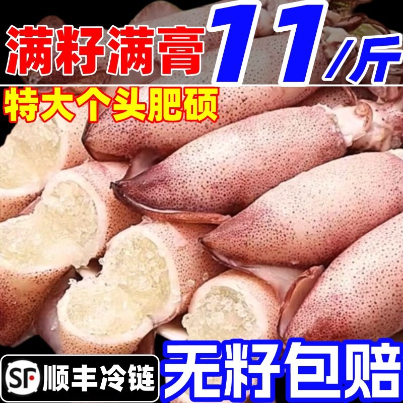 满籽籽乌海兔子全籽膏带籽鲜活冷冻海鲜水产墨鱼仔小鱿鱼笔管鱿鱼