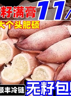 满籽籽乌海兔子全籽膏带籽鲜活冷冻海鲜水产墨鱼仔小鱿鱼笔管鱿鱼