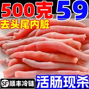 海肠大连鲜活速冻海肠皮烟台新鲜海肠子沙虫海鲜水产500克免处理