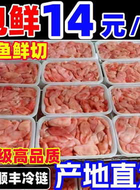 新鲜巴沙鱼肚鱼泡鱼鳔餐饮酒店冷冻石斑鱼鱼肚鲜脆饭店商用食材
