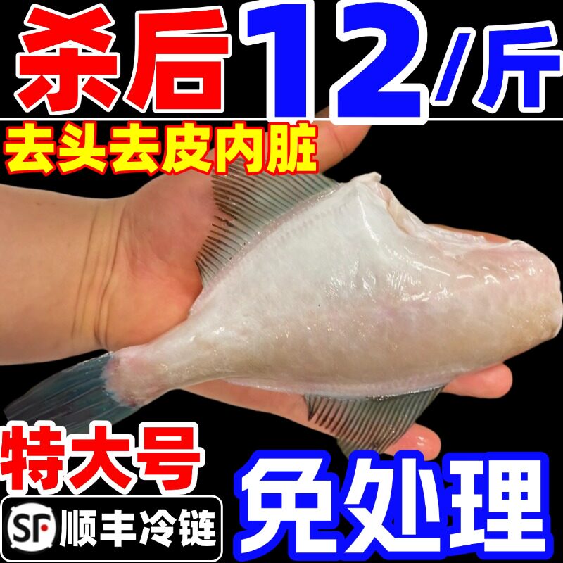 耗儿鱼新鲜特大冷冻老鼠鱼马面鱼扒皮鱼火锅食材玻璃鱼海鲜商用