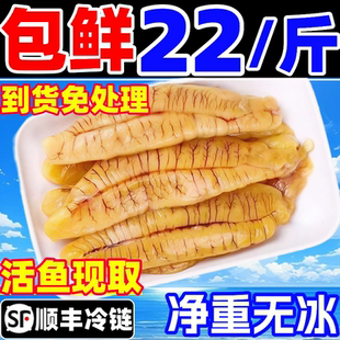 鱼籽新鲜黑鱼籽鲜活冷冻清江鱼籽超大鱼子鱼蛋鱼卵商用水产海鲜