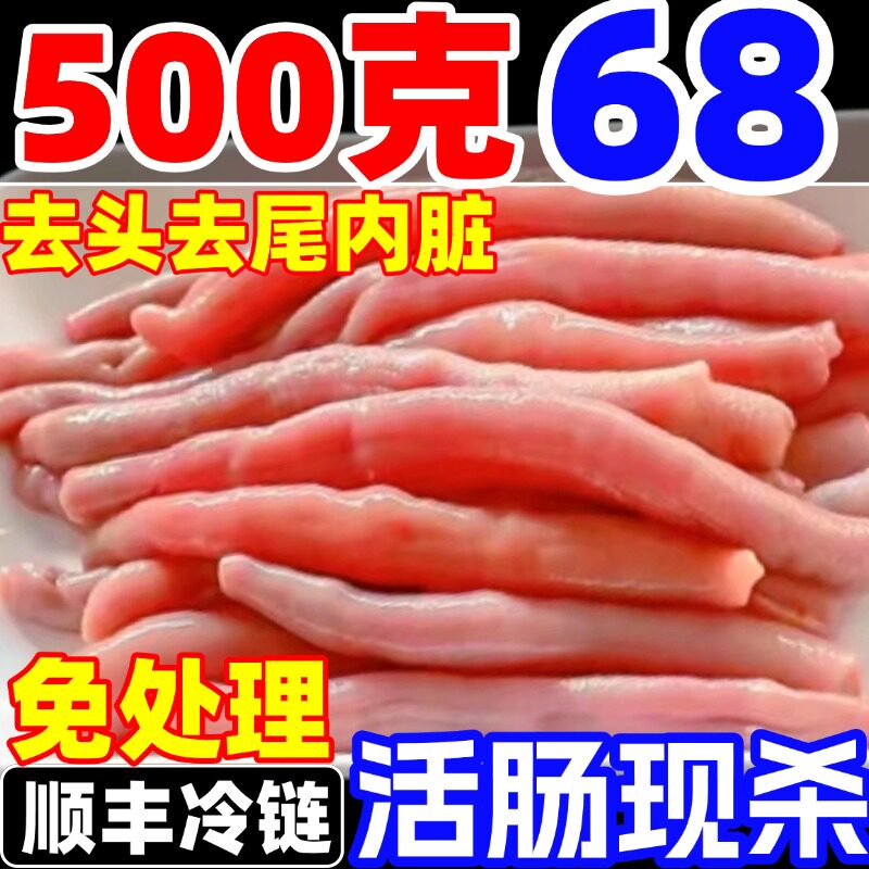 海肠大连鲜活速冻海肠皮烟台新鲜海肠子沙虫海鲜水产500克免处理