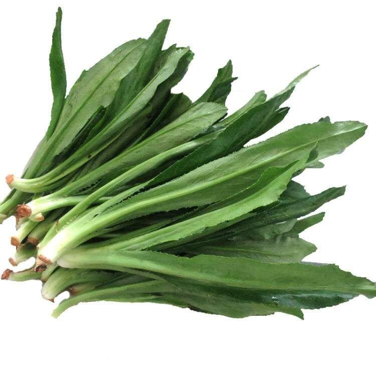 新鲜刺芫荽 大香菜 刺芹 洋鹅芥假芫茜元西/缅芜荽泰国越南香