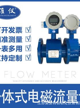淮仪-电磁流量计污水液体分体一体式防腐dn100/50 LDG流量计表
