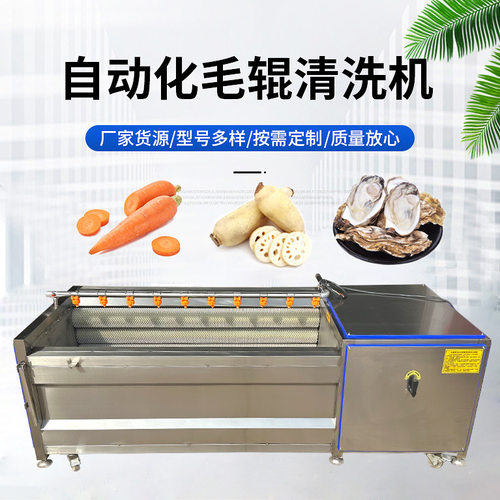 独钉子金铁锁毛刷清洗机  荔枝螺去泥沙U型毛刷清洗机