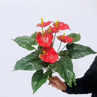 红掌一卫间花办公室一品红花箱塑胶假花装饰花生束卉仿真高56232