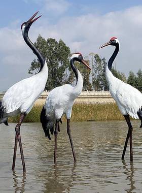 户外彷真玻鹤雕水仙景庭院花园林79542造景观装饰璃纤维小品丹顶