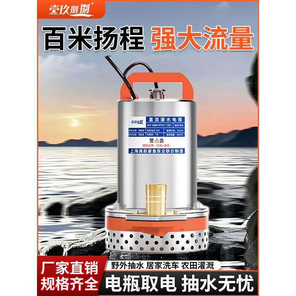 直流潜水泵48V60V72伏电瓶电动车抽水泵12V24V小型灌溉农用抽水机