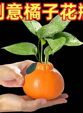 创意子水培绿萝桌面摆件简约90616现台置面花盆代台花瓶水培花橘