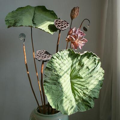 干莲蓬IAQ干花花束客厅摆设真花荷风然高级感落地花荷叶装饰摆天