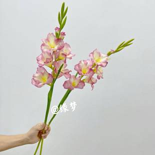 剑兰花仿花装摆饰件花卉高档花高级真感客厅落假地大84432花瓶插