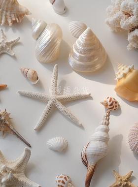 ins风海洋天然贝海星海16535螺海珊瑚装壳摄饰摆件工作室摆设拍胆