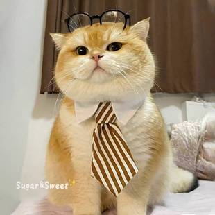 猫咪领带宠物狗狗围脖小狗口水巾围兜柴犬西高地围巾配饰猫咪领巾