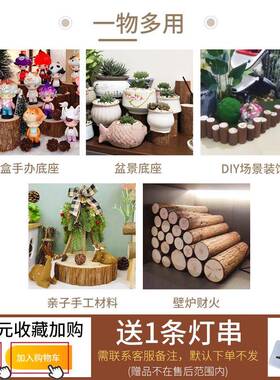 小木桩盲盒底91360干装座摆件原木墩树桩树拍摄道具手工d壁iy园艺