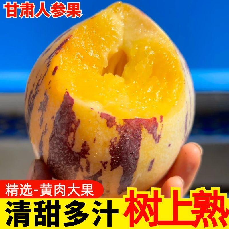 甘肃民勤沙漠人参果树上熟黄果黄肉新鲜水果9斤特大果人生果包邮