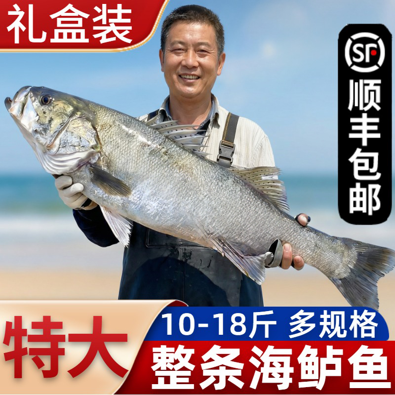 深海七星野生特大鲈鱼新鲜冷冻10斤鲜活冰鲜官方旗舰店礼盒装海鲜,水产肉类/新鲜蔬果/熟食,鲈鱼,淘宝优惠券,粉丝福利购,淘宝优惠卷