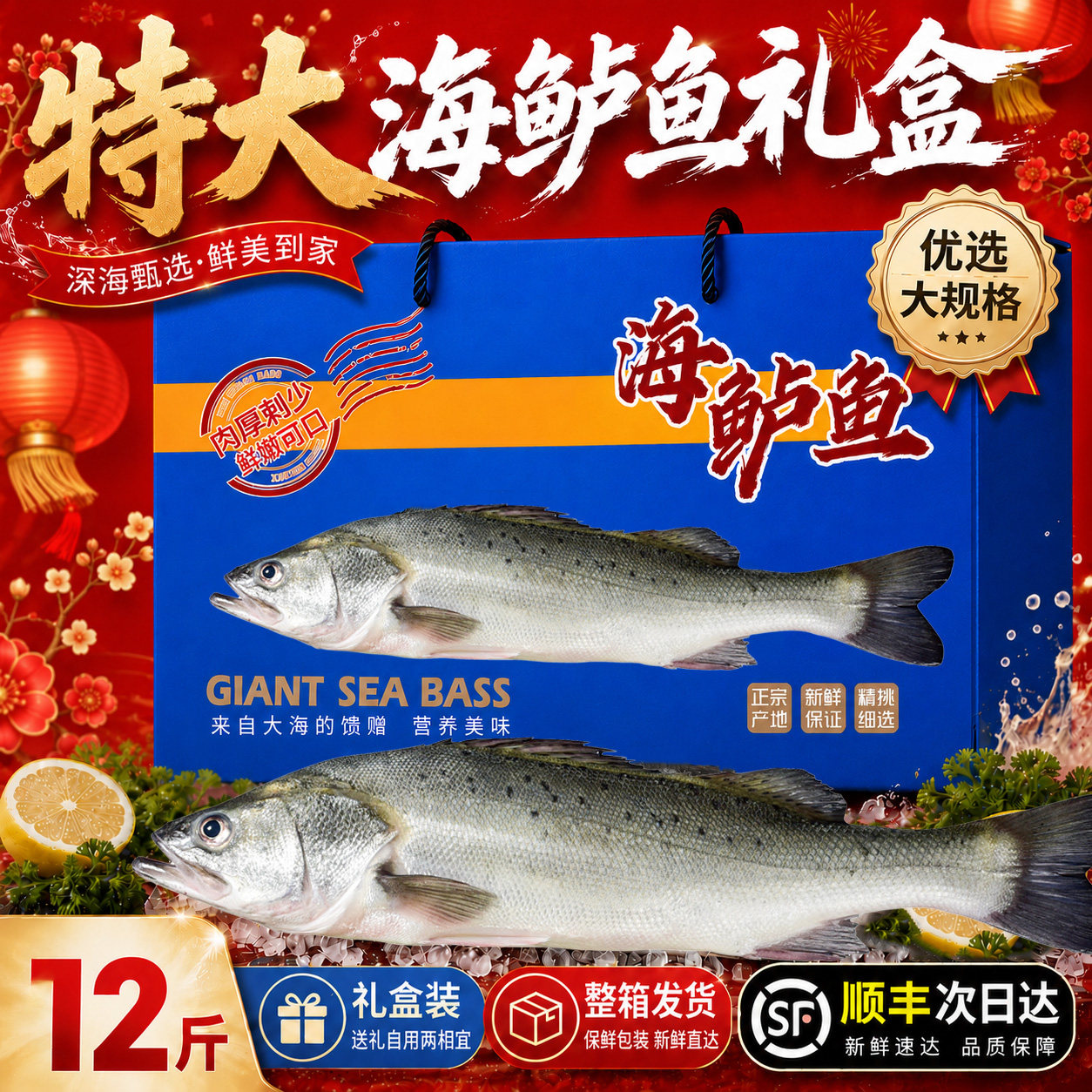 野生特大海鲈鱼新鲜礼盒装