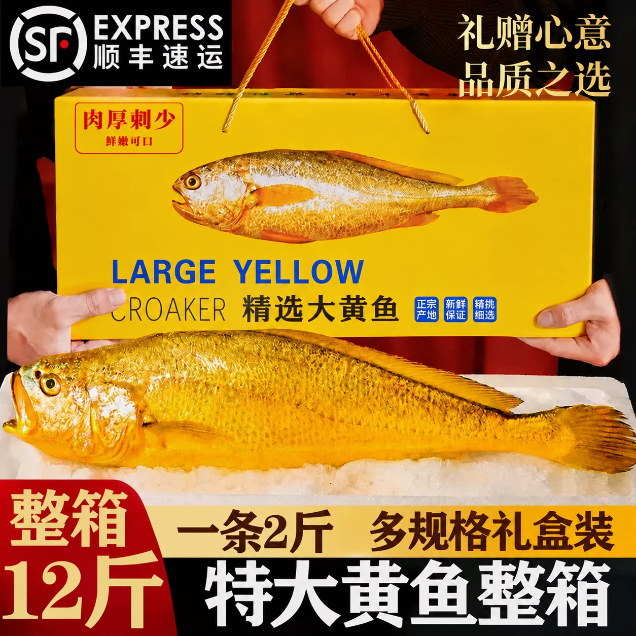 特大号黄花鱼深海新鲜冷冻官方旗舰店冰鲜生鲜宁德整箱礼盒装