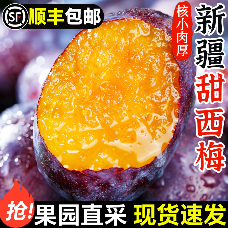 【顺丰】正宗新疆西梅鲜果5斤新鲜水果当季整箱李子法兰西西梅