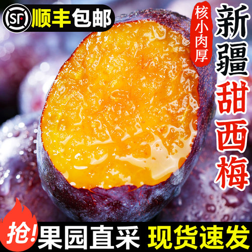 正宗西梅鲜果5斤新鲜水果当季整箱李子法兰西应季蓝蜜大西梅时令