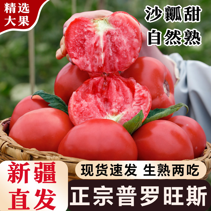 正宗新疆普罗旺斯西红柿沙瓤多汁番茄新鲜水果当季整箱现摘蔬菜