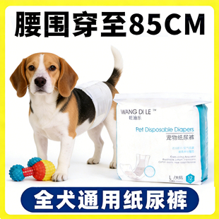 比格狗狗尿不湿公狗专用纸尿裤 大狗小狗尿片母狗礼貌带幼犬 生理裤