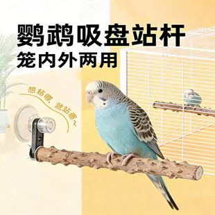 虎皮鹦鹉专用吸盘站架花椒木玻璃站杆室内车载金刚磨脚站棍架子