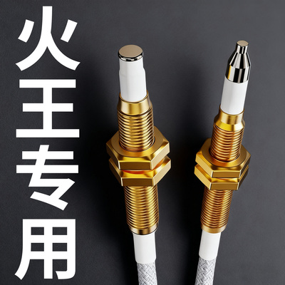 火王集成灶燃气灶点火针天然气感应针电子打火针热电偶液化气灶具