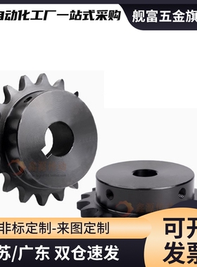 SP40B BSP40B SSP40B9 10 11 12 13 14 15-17-18-N/S 链轮