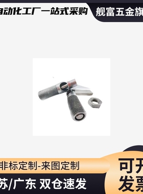 ZAU21 PMXRB10把手型旋钮柱塞分度销快速插拔销定位销