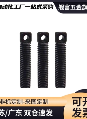 AIPOZ3/M4/M5/M6拉伸弹簧用支柱/两平面型 颈部全螺纹型FFE01