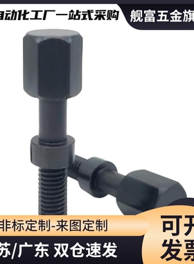 AJSTCM/AJSTCMF 粗牙细牙调整螺栓 六角头尺寸简易型 PAY22/PAY32