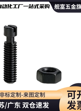 拉伸弹簧支柱FFG01-D3 D4 D5 D6-L15L20L25L30L35L40L45L50L60