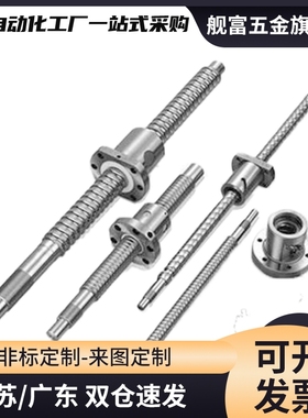 丝杆套装全套LCS02 07 29 31 47 49 55 57-20-5 20-10 20-20滚珠