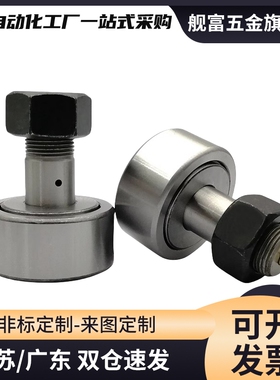 BPF21/22-d3-d4-d5-d6-d8-d10-d12-d20-d24-d30-PP凸轮轴承随动器