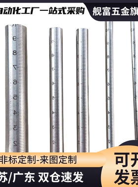 GSSTN10-100/150/ 200带刻度型圆棒 棒型底座用支柱