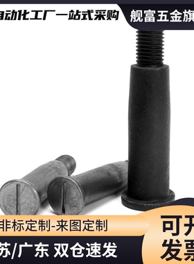 MEP01/02/03-6/8/10/12/13/15/16/17/18/20/22/25A/30A标准悬臂销