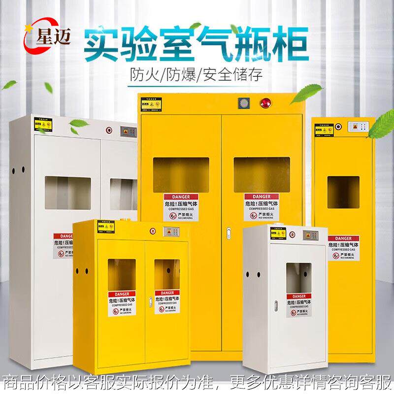 实验室全钢防爆气瓶柜安全柜双瓶煤气罐乙炔带报警器钢瓶柜,商业/办公家具,办公储物柜,淘宝优惠券,粉丝福利购,淘宝优惠卷