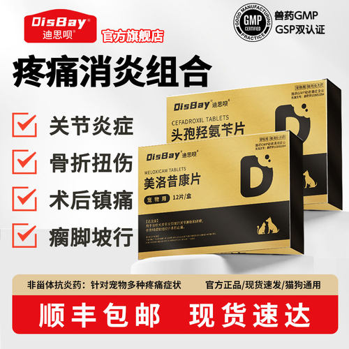 宠物止痛药狗狗骨折扭伤关节