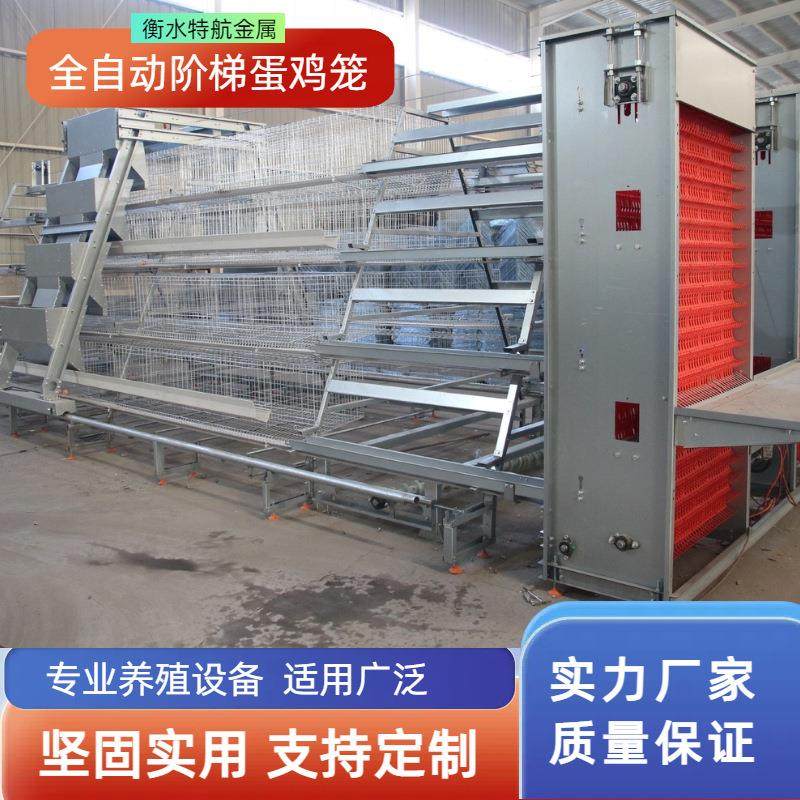 全自动阶梯蛋鸡笼加背负式喂料机捡蛋机自动集蛋系统自动喂料系统,畜牧/养殖物资,畜牧/养殖器械,淘宝优惠券,粉丝福利购,淘宝优惠卷