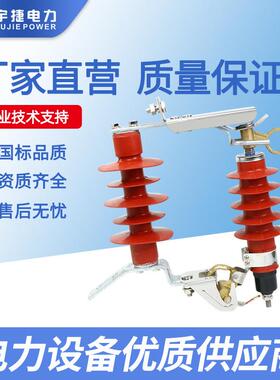 宇捷10KV可卸式避雷器YH5WS-17/50DL-TB户外跌落式氧化锌避雷器